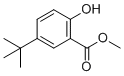 5-叔丁基-2-羟基苯甲酸甲酯分子结构 (CAS 52888-72-9)