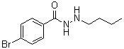 4-Bromobenzoic acid 2-butylhydrazide molecular structure (CAS 537672-41-6)