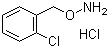 O-(2-Chlorobenzyl)hydroxylamine hydrochloride molecular structure (CAS 5555-48-6)