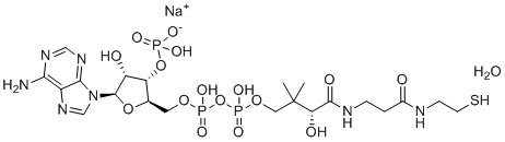 Coenzyme A sodium salt hydrate molecular structure (CAS 55672-92-9)