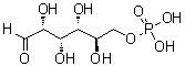 结构式 CAS# 56-73-5, D-葡萄糖 6-磷酸酯