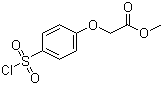 structure of CAS# 56077-78-2, Methyl 2-[4-(chlorosulfonyl)phenoxy]acetate;(4-Chlorosulfonylphenoxy)acetic acid methyl ester