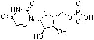 structure of CAS# 58-97-9, 5'-Uridylic acid;Uridine 5'-phosphoric acid; Uridine monophosphate; Uridine phosphate