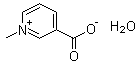 Trigonelline monohydrate molecular structure (CAS 6138-40-5)