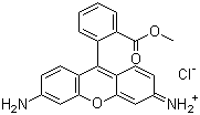 Rhodamine 123 molecular structure (CAS 62669-70-9)