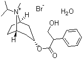 异丙托溴铵分子结构 (CAS 66985-17-9)