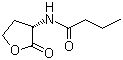 结构式 CAS# 67605-85-0, N-[(3S)-四氢-2-氧代-3-呋喃基]丁酰胺