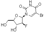 5-Bromo-1-(2-deoxy-2-fluoro-beta-D-arabinofuranosyl)-2,4(1H,3H)-pyrimidinedione molecular structure (CAS 69123-97-3)