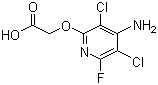 Fluroxypyr molecular structure (CAS 69377-81-7)