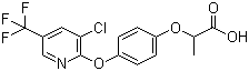 Haloxyfop molecular structure (CAS 69806-34-4)