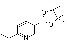 2-Ethyl-5-(4,4,5,5-tetramethyl-1,3,2-dioxaborolan-2-yl)pyridine molecular structure (CAS 741709-61-5)