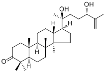 20,24-Dihydroxydammar-25-en-3-one molecular structure (CAS 75069-59-9)