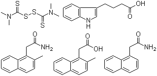 Rootone F molecular structure (CAS 75497-92-6)