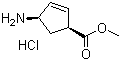 cis-4-Amino-2-cyclopentene-1-carboxylic acid methyl ester hydrochloride molecular structure (CAS 77745-25-6)
