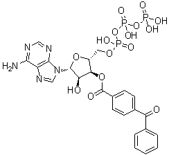 Adenosine 5'-(tetrahydrogen triphosphate) 3'-(4-benzoylbenzoate) molecular structure (CAS 81790-82-1)