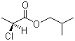 (S)-Isobutyl-2-chloropropanoate molecular structure (CAS 83261-15-8)