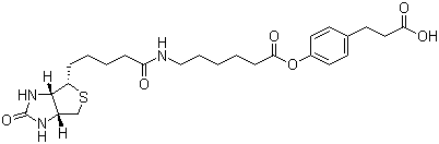 3-(4-(N-生物素-6-氨基己羧基)苯基)丙酸分子结构 (CAS 83592-10-3)