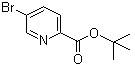 5-Bromopyridine-2-carboxylic acid tert-butyl ester molecular structure (CAS 845306-08-3)