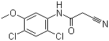 2-Cyano-N-(2,4-dichloro-5-methoxyphenyl)acetamide molecular structure (CAS 846023-24-3)