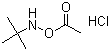 N-(Acetyloxy)-2-methyl-2-propanamine hydrochloride molecular structure (CAS 851074-40-3)