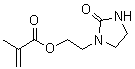 N-(2-甲基丙烯酰氧乙基)咪唑烷-2-酮分子结构 (CAS 86261-90-7)