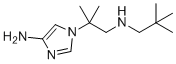 1-{1-[(2,2-Dimethylpropyl)amino]-2-methyl-2-propanyl}-1H-imidazol-4-amine molecular structure (CAS 865774-26-1)