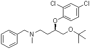 (R)-N-Benzyl-N-[4-tert-butoxy-3-(2,4-dichloro-phenoxy)-butyl]-N-methylamine molecular structure (CAS 865865-21-0)