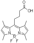 4-(4,4-Difluoro-1,3,5,7-tetramethyl-4-bora-3a,4a-diaza-s-indacene-8-yl)-butyric acid molecular structure (CAS 878674-84-1)