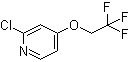 结构式 CAS# 885277-01-0, 2-氯-4-(2,2,2-三氟乙氧基)吡啶