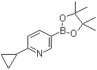 6-Cyclopropylpyridine-3-boronic acid pinacol ester molecular structure (CAS 893567-09-4)