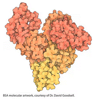 structure of CAS# 9048-46-8, Bovine albumin;Bovine serum albumin