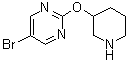 结构式 CAS# 914347-73-2, 5-溴-2-(3-哌啶基氧基)嘧啶