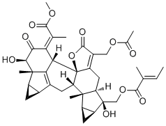 Chlorahololide D molecular structure (CAS 943136-39-8)
