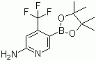 2-Amino-4-(trifluoromethyl)pyridine-5-boronic acid pinacol ester molecular structure (CAS 944401-57-4)