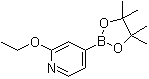 2-Ethoxypyridine-4-boronic acid pinacol ester molecular structure (CAS 957346-47-3)