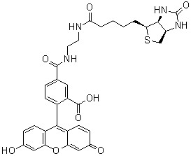 5-[[[2-[[5-[(3aS,4S,6aR)-Hexahydro-2-oxo-1H-thieno[3,4-d]imidazol-4-yl]-1-oxopentyl]amino]ethyl]amino]carbonyl]-2-(6-hydroxy-3-oxo-3H-xanthen-9-yl)benzoic acid molecular structure (CAS 957494-27-8)