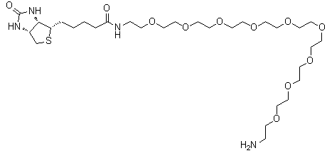 structure of CAS# 960132-48-3, O-(2-Aminoethyl)-O'-[2-(biotinylamino)ethyl]octaethylene glycol;(3aS,4S,6aR)-N-(29-Amino-3,6,9,12,15,18,21,24,27-nonaoxanonacos-1-yl)hexahydro-2-oxo-1H-thieno[3,4-d]imidazole-4-pentanamide; Biotin-PEG8-NH2