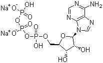 腺苷-5'-三磷酸二钠盐分子结构 (CAS 987-65-5)